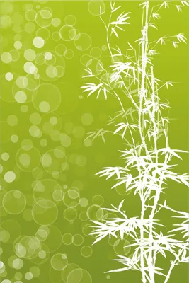 Produktbild von Wallario Poster - Bambusmuster grün-weiß, Kunstdruck Größe: 61 x 91,50 cm