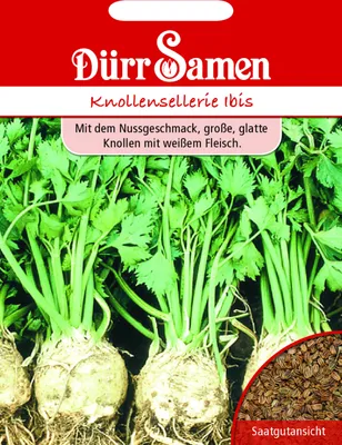 Produktbild von Dürr-Samen - Knollensellerie Ibis - Saatgut - 1918