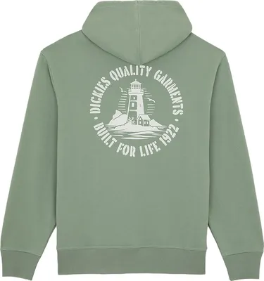 Dickies Hoodie Parrotsville - sea spray