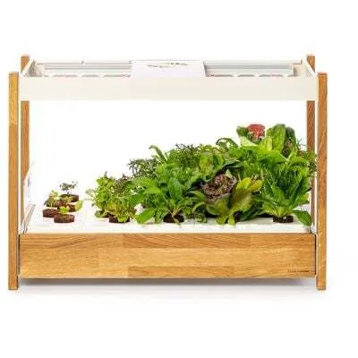 Image de Click and Grow 25 - pot intelligent, blanc