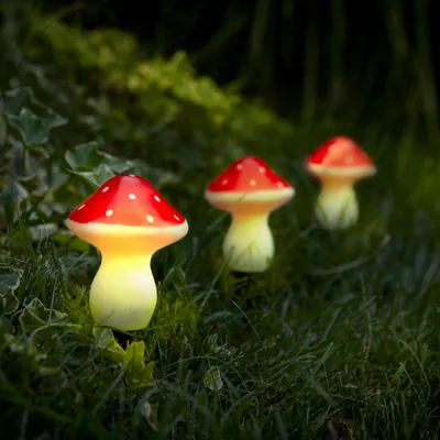 Produktbild von Solar-LED-Gartenleuchten-Set mit 3 Pilzen - Warmweiß - Solarbetrieben - Mit Erdspieß - Schaltet sich bei Dämmerung automatisch ein - Dekorative Außenbeleuchtung für Garten und Beet [11756]