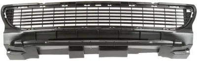 Produktbild von BLIC Lüftungsgitter Grill Stoßfänger passend für MERCEDES-BENZ A-Klasse (W169)