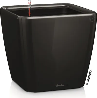 Image de LECHUZA Pot de fleurs QUADRO Premium LS 50 Taupe brillant | Pot de fleurs avec système d'arrosage | Surface brillante | 50 x 50 x 46,5 cm | 16285