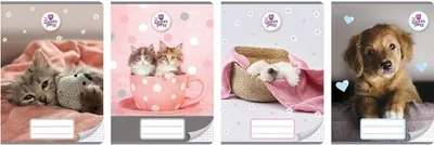 Immagine prodotto di Quaderno A5/16K a quadretti The Sweet Pets (20 pezzi) - Beniamin