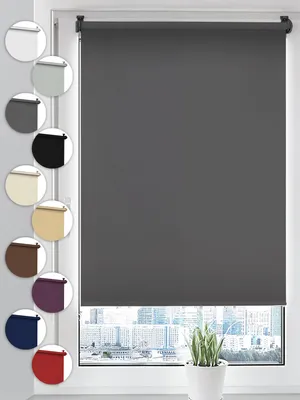 A dark gray roller blind is shown on a window, with a cityscape visible through the window. Several circular swatches of different colored roller blinds are displayed to the left of the main product.