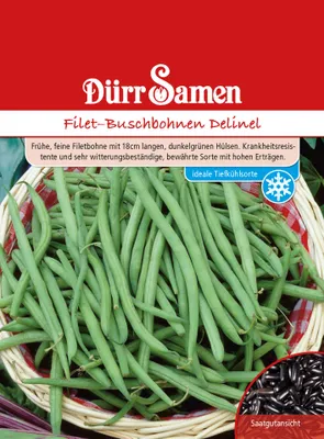 Produktbild von Dürr-Samen - Buschbohnen Delinel - Saatgut - 0309