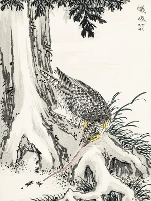 Produktbild von Plakat 30x40cm Haubenmeise 2, Japanische Kishu Vintage für das Wohnzimmer