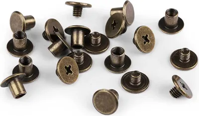 Schraubnieten Buchschrauben 10Stk Ø 10mm / 8,7 mm altmessing
