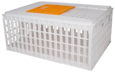 Produktbild von Beeketal Geflügel Transportbox Transportkiste, Variante:GBB-1