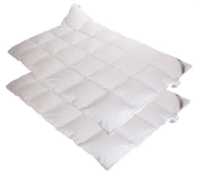 Produktbild von 2 Stück Betten Hofmann Belladream Daunendecken Daunenbetten 4x6 155x220 cm 100% Daunen Außensteg