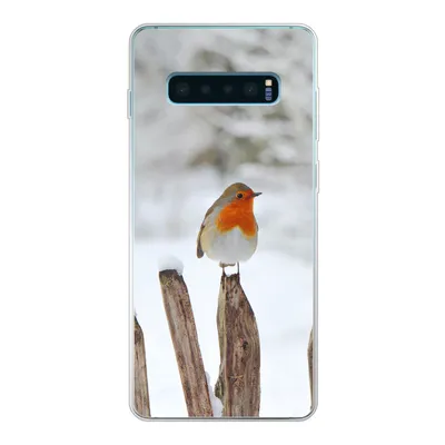 Produktbild von MuchoWow® Handyhülle Schutzhülle Hülle für Samsung Galaxy S10 Lite Vogel - Zaun - Schnee Silikon Softcase Handy Hülle - Schutz