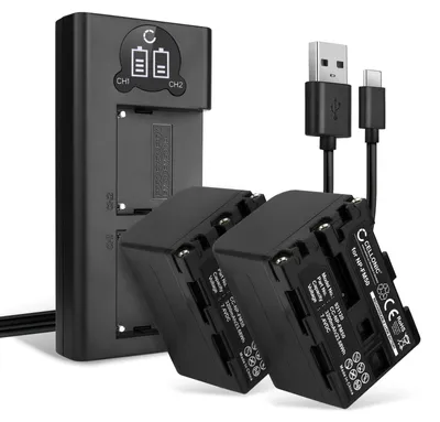Image de CELLONIC 2x Batterie pour Appareil photo Compatible avec Sony CCD-TRV106, CCD-TRV107, CCD-TRV108, NP-FM30 - (3200mAh, 7.4V) + Chargeur Double