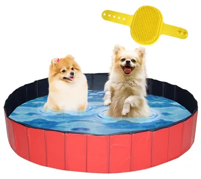 Immagine prodotto di Solidchoice - Piscina per cani, diametro 160x30 cm, pieghevole e con spazzola inclusa