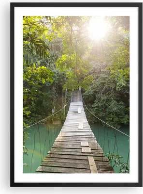 Produktbild von Gerahmtes Poster - Schwarzer Rahmen - Brücke Seil Dschungel - 50x70 cm - Wand Bild - Wanddeko - Wandbilder - Kunstposter - Wandposter - Bilderrahmen - Bilder - Kunstdruck - P2BPA50x70-4397