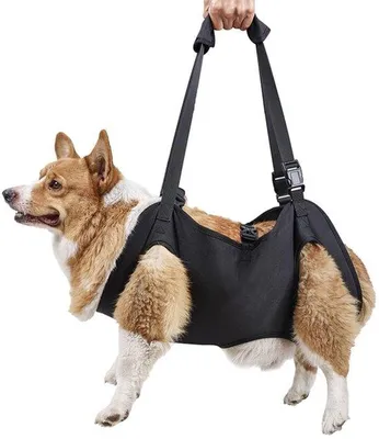 Image de Sangle de soutien pour chiens - Sangle de soutien réglable pour chiens - Noir - Pour chiens âgés ou handicapés - En cas de problèmes articulaires - Idéale