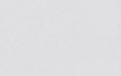 Produktbild von Erfurt Vliestapete Basic 100 weiß 10,05 x 0,53 m