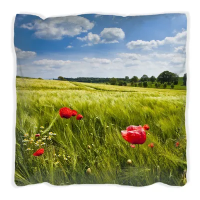 Produktbild von Wallario Premium Kissen, weiche Oberfläche, mit Motiv Mohnblumenwiese auf grüner Wiese unter blauem Himmel, Größe: 30 x 30 cm, mit weißer Rückseite