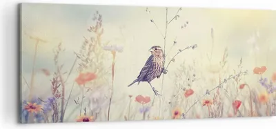 Produktbild von Bild auf Leinwand - Leinwandbild - Einteilig - Vogel Wildschwein Wiese - 100x40cm - Wand Bild - Wanddeko - Wandbilder - Leinwanddruck - Bilder - Wanddekoration - Leinwand bilder - AB100x40-4279