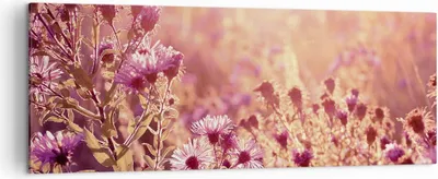 Produktbild von Bild auf Leinwand - Leinwandbild - Einteilig - Wiese Blumen Sonne - 140x50cm - Wand Bild - Wanddeko - Wandbilder - Leinwanddruck - Bilder - Wanddekoration - Leinwand bilder - Wandbild - AB140x50-4819