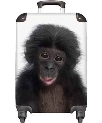 Obrázek produktu pro NoBoringSuitcases.com® Kufr Příruční zavazadlo Kufr na kolečkách Malý cestovní kufr na 4 kolečkách - Chimpanzee - Baby - Kids - Monkey - Cabin Size < 55x40x23 cm & 55x40x20 cm - Foto kufr - Cabin kufr - Board luggage - Dětský kufr - Dětský vozík.