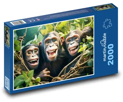 Obrázek produktu pro Puzzle 2000 Vysmáté opice - šimpanzi - martinpuzzle