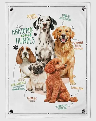 Produktbild von Geschirrtuch Hundebande, Geschirrtücher Mitbringsel Geschenkidee, Hund, Haustiere