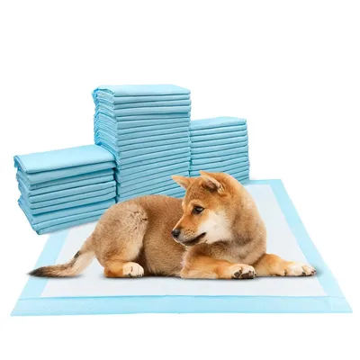 Produktbild von 100er-Pack Hundepads, 60×60 cm, auslaufsicheres 5-Lagen-Design mit schnelltrocknender Oberfläche, für Hunde und Welpen, Blau