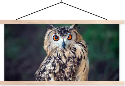 Produktbild von MuchoWow® Textilposter Eule 60x30 cm mit holzfarbenen Rahmen - Dekoration