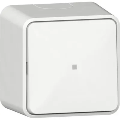 Produktbild von GIRA Wippschalter 311613 Kontroll AusWe AP rws