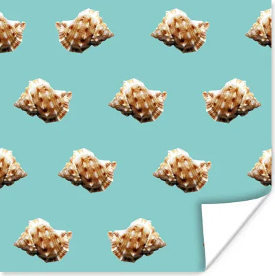 Produktbild von MuchoWow® Poster Muscheln - Muster - Grün 30x30 cm - Wandposter - Printing