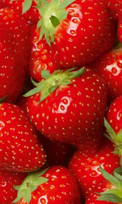 Produktbild von Fototapete - Strawberry 150x250cm - Vliestapete