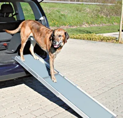 Produktbild von TRIXIE Ausziehbare Rampe Petwalk 120 kg 100-180 cm Grau 3940