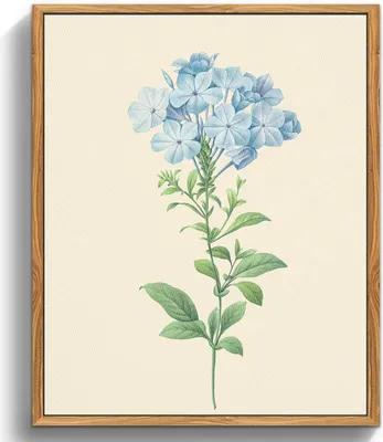 Image de Tableaux botaniques vintage sur toile avec cadre en bois 30x40cm chambre salon bureau
