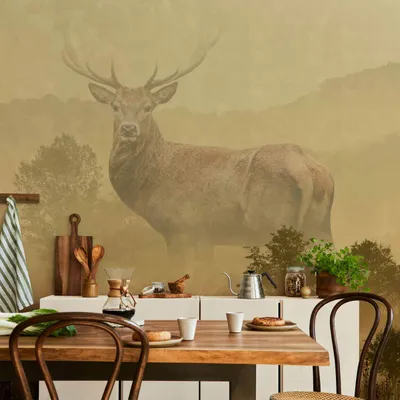 Produktbild von Vlies Fototapete - Dreamlike Image 400x280 cm Tiere c-C-0474-a-a