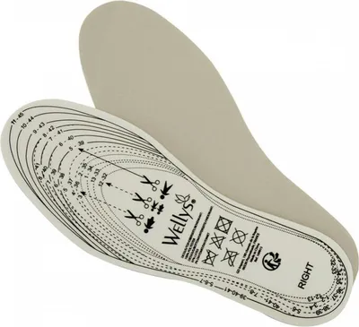 Produktbild von Wellys GD-169815: Einlegesohlen 'Kieselgur' (32-45)