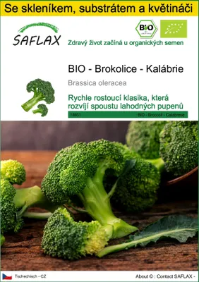 Obrázek produktu pro SAFLAX Kultivační sada - BIO - Brokolice - Kalábrie - Brassica oleracea - 100 Semena - S mini skleníkem, pěstebním substrátem a 2 květináči