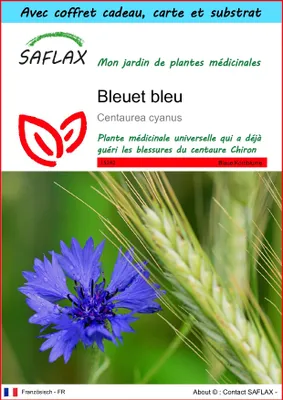Image de SAFLAX Ensemble-cadeau - Bleuet bleu - 27000 graines - Centaurea