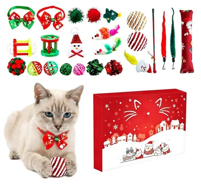 Obrázok produktu pre Adventný kalendár 24-dňové odpočítavanie Interaktívna hračka pre mačky pre mačiatka