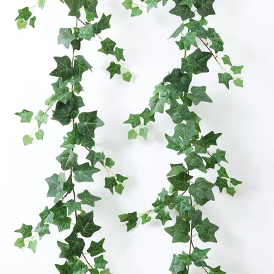 Image de Plantes de lierre artificielles, 195 cm, plantes de lierre artificielles suspendues, décoration en lierre artificiel, décoration murale esthétique, pothos pour les décorations de mariage, de balcon, de jardin et de fête (vert)