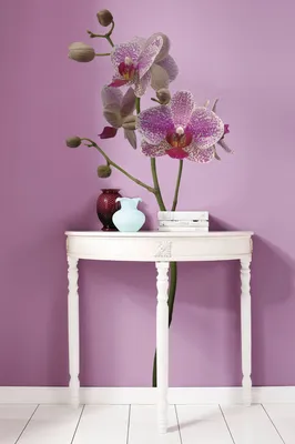 Produktbild von Komar Deco-Sticker "Orchidee" 100 x 70 cm, lila/weiß/grün, 17702h