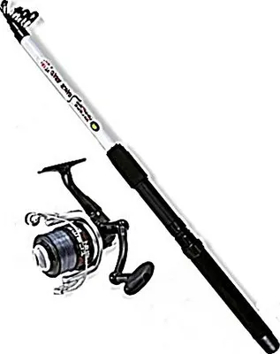 Image de Lineaeffe Combo Extreme Snake Head Rod 2,70m +Rolle