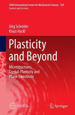Produktbild von Plasticity and Beyond