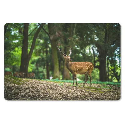 Produktbild von MuchoWow® Mauspad Mousepad Rotwild - Wald - Tier 27x18 cm - Mousepads - Maus Mat - Pad - Mausunterlage - Büroartikel - Desk Matten