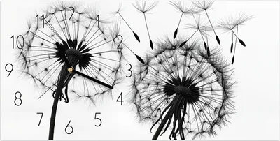Produktbild von Wanduhr aus Glas mit Motiv Pusteblumen- 60 x 30 cm - inkl. Aufhängesystem