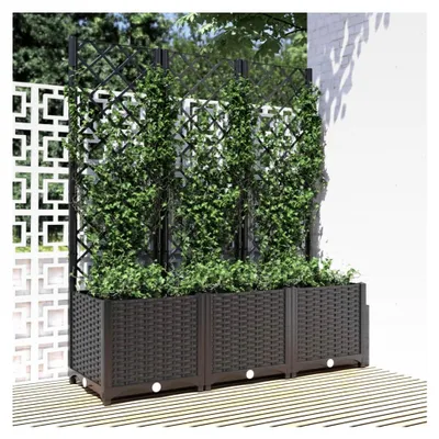 Produktbild von Pflanzkübel mit Spalier Schwarz 120x40x136 cm