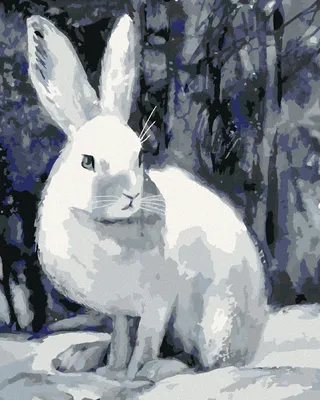 Obrázek produktu pro Zuty - Malování podle čísel - KRÁLÍK V ZIMĚ U LESA, 40x50 cm, bez rámu a bez vypnutí plátna
