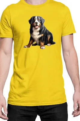 Produktbild von Herren T-Shirt Dogs Breeds Weimaraner Dog Breed 008, Man S / Gelb