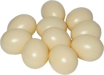 Image de Oeufs 10 pièces (jouet, jeu de rôle)