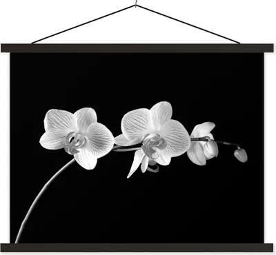 Produktbild von MuchoWow® Textilposter Orchidee - Blumen - Schwarz - Rosa - Knöpfe 150x113 cm mit schwarzem Rahmen - Wohnzimmer