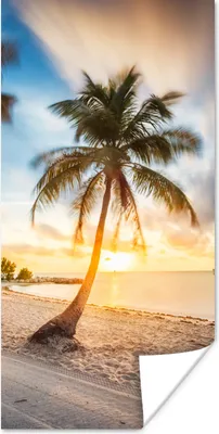 Produktbild von MuchoWow® Poster Sonnenuntergang - Strand - Palme 20x40 cm - Plakat - Foto
